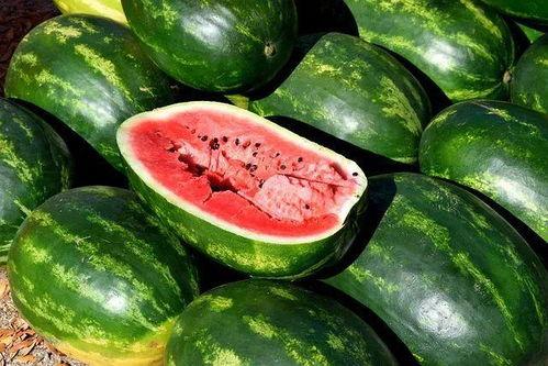 新鲜吃瓜图片大全